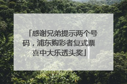 感谢兄弟提示两个号码，浦东购彩者复式票喜中大乐透头奖