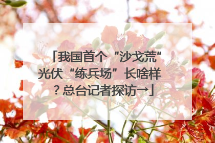 我国首个“沙戈荒”光伏“练兵场”长啥样？总台记者探访→
