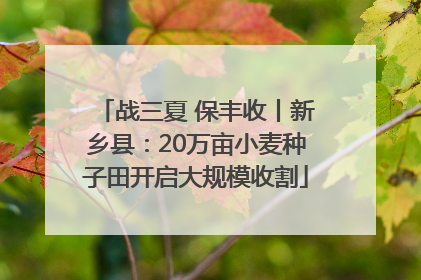 战三夏 保丰收丨新乡县：20万亩小麦种子田开启大规模收割