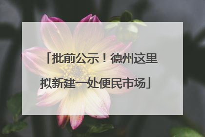 批前公示！德州这里拟新建一处便民市场