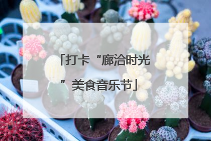 打卡“廊洽时光”美食音乐节
