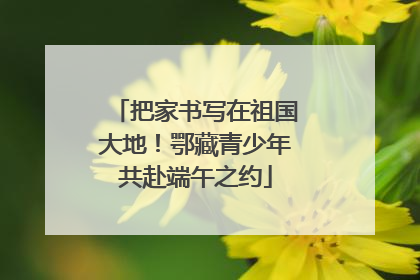 把家书写在祖国大地！鄂藏青少年共赴端午之约