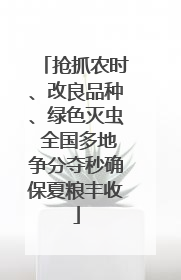 抢抓农时、改良品种、绿色灭虫 全国多地争分夺秒确保夏粮丰收