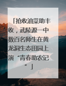 抢收油菜助丰收，武陵源一中数百名师生在黄龙洞生态田园上演“青春助农记”