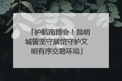 护航南博会！昆明城管坚守展馆守护文明有序交易环境