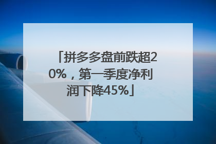 拼多多盘前跌超20%，第一季度净利润下降45%