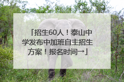 招生60人！泰山中学发布中加班自主招生方案！报名时间→