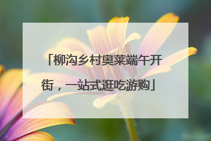 柳沟乡村奥莱端午开街，一站式逛吃游购