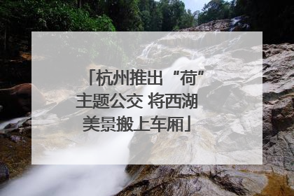 杭州推出“荷”主题公交 将西湖美景搬上车厢