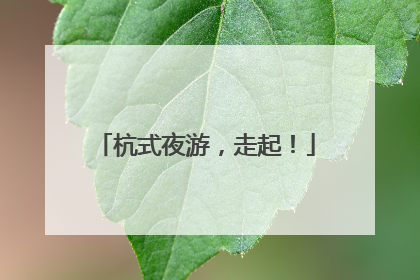 杭式夜游，走起！