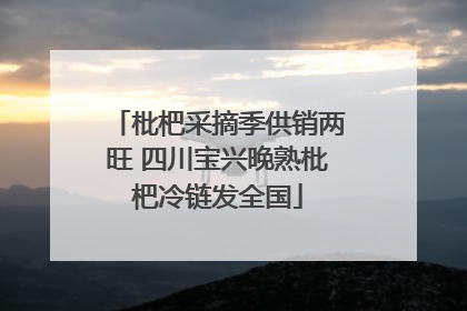 枇杷采摘季供销两旺 四川宝兴晚熟枇杷冷链发全国