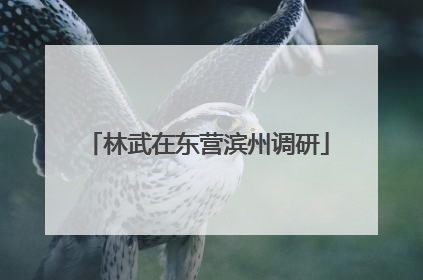 林武在东营滨州调研