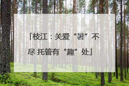 枝江：关爱“暑”不尽 托管有“趣”处