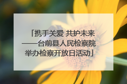 携手关爱 共护未来——台前县人民检察院举办检察开放日活动