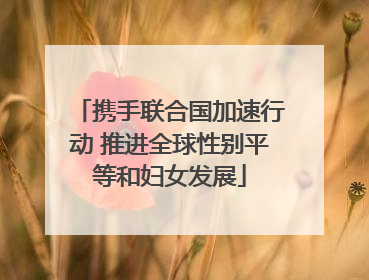 携手联合国加速行动 推进全球性别平等和妇女发展
