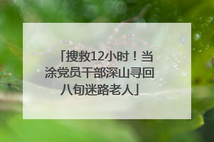 搜救12小时！当涂党员干部深山寻回八旬迷路老人