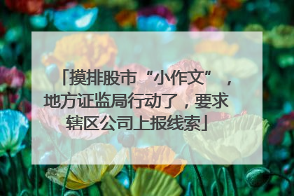 摸排股市“小作文”，地方证监局行动了，要求辖区公司上报线索