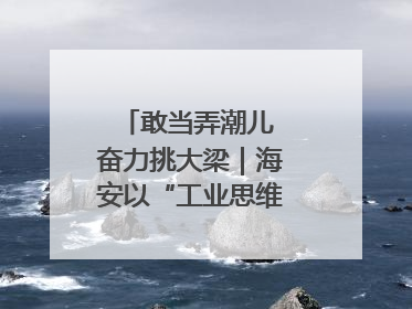 敢当弄潮儿 奋力挑大梁｜海安以“工业思维”拓宽共富路