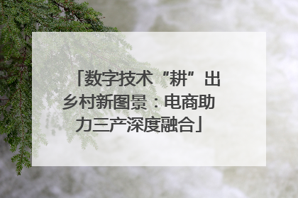 数字技术“耕”出乡村新图景：电商助力三产深度融合