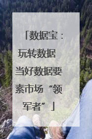数据宝：玩转数据 当好数据要素市场“领军者”