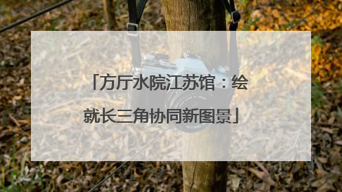 方厅水院江苏馆：绘就长三角协同新图景