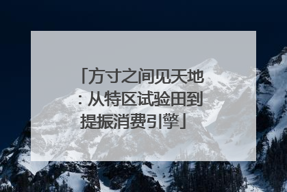 方寸之间见天地：从特区试验田到提振消费引擎