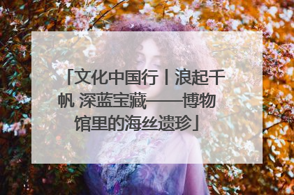 文化中国行丨浪起千帆 深蓝宝藏——博物馆里的海丝遗珍