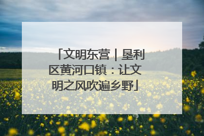 文明东营｜垦利区黄河口镇：让文明之风吹遍乡野