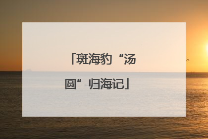 斑海豹“汤圆”归海记