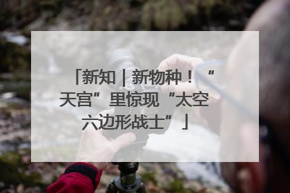 新知｜新物种！“天宫”里惊现“太空六边形战士”