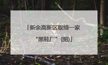 新余高新区取缔一家“黑鞋厂”(图)