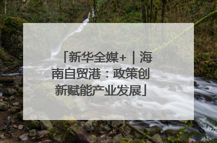 新华全媒+｜海南自贸港：政策创新赋能产业发展
