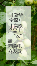 新华全媒+｜高原产品上“云”端——西藏电商发展一线观察