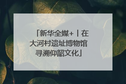新华全媒+丨在大河村遗址博物馆寻溯仰韶文化