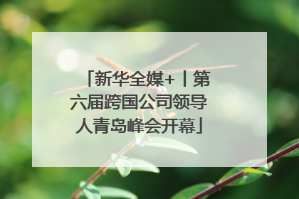 新华全媒+丨第六届跨国公司领导人青岛峰会开幕