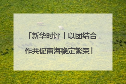 新华时评丨以团结合作共促南海稳定繁荣