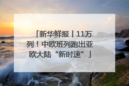 新华鲜报丨11万列！中欧班列跑出亚欧大陆“新时速”