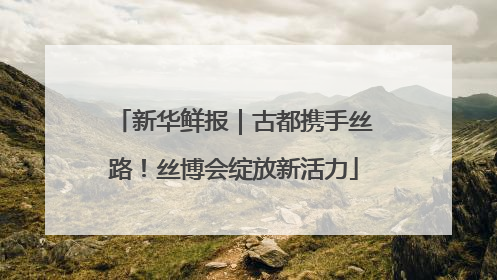 新华鲜报｜古都携手丝路！丝博会绽放新活力