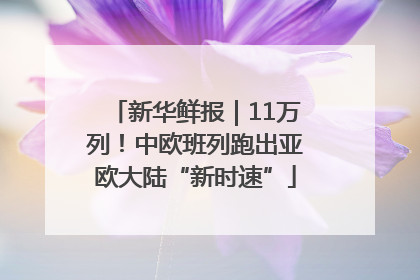新华鲜报｜11万列！中欧班列跑出亚欧大陆“新时速”
