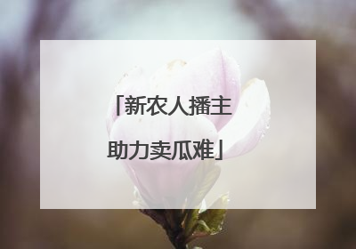 新农人播主 助力卖瓜难