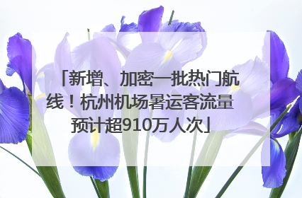 新增、加密一批热门航线！杭州机场暑运客流量预计超910万人次