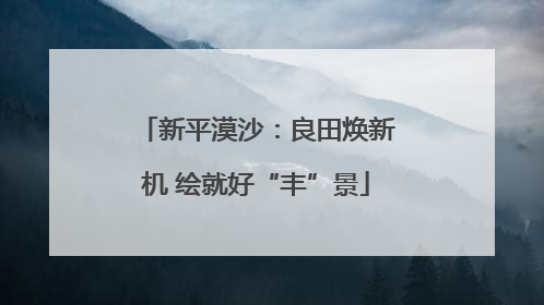 新平漠沙：良田焕新机 绘就好“丰”景