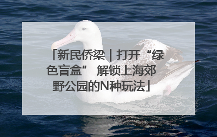 新民侨梁｜打开“绿色盲盒” 解锁上海郊野公园的N种玩法