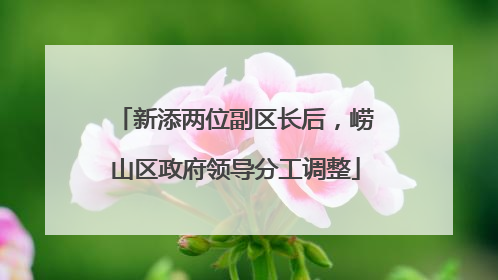 新添两位副区长后，崂山区政府领导分工调整