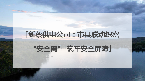 新蔡供电公司：市县联动织密“安全网” 筑牢安全屏障