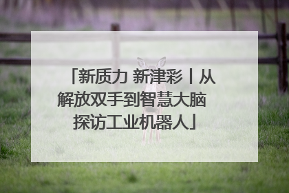 新质力 新津彩丨从解放双手到智慧大脑 探访工业机器人
