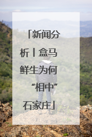 新闻分析丨盒马鲜生为何“相中”石家庄