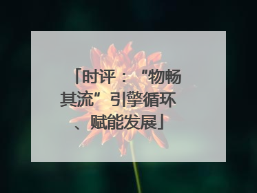 时评：“物畅其流”引擎循环、赋能发展