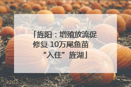 旌阳：增殖放流促修复 10万尾鱼苗“入住”旌湖