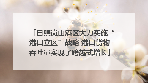 日照岚山港区大力实施“港口立区”战略 港口货物吞吐量实现了跨越式增长